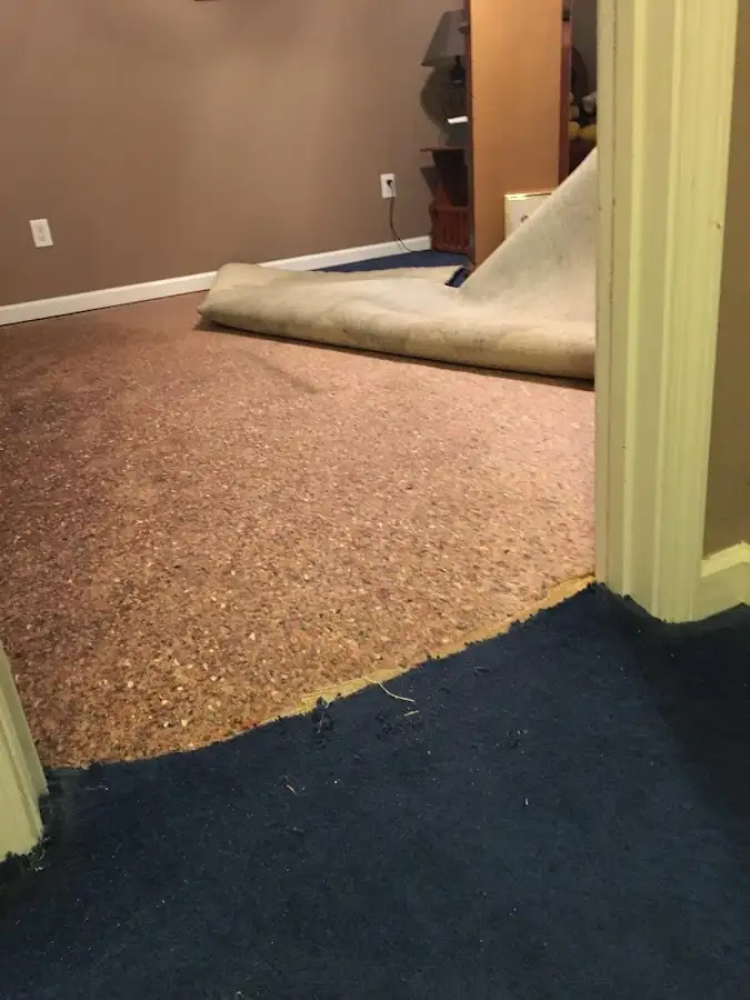 Carpet pad removal revealing water damage during Drying & Dehumidification in Red Wing