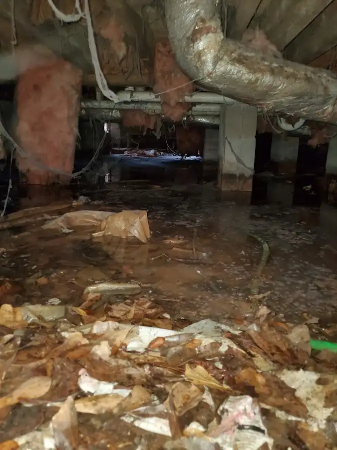 Crawl space flood assessment for Commercial Water Damage Restoration in Red Wing