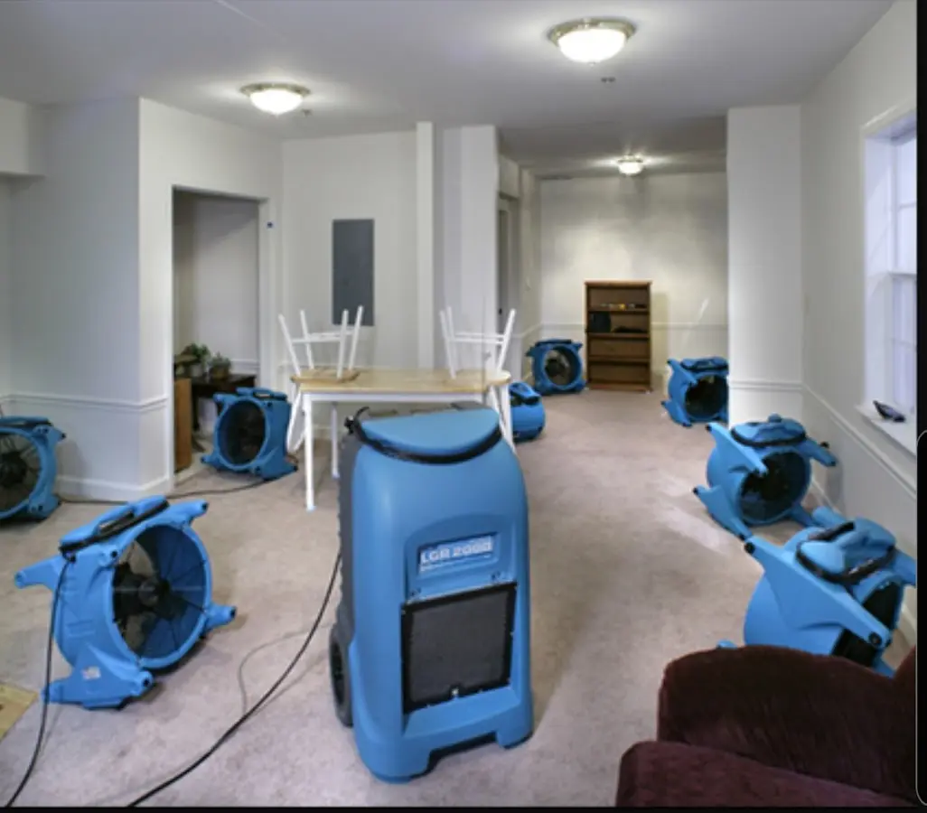 Air movers and dehumidifier setup for Water Extraction & Removal in Red Wing