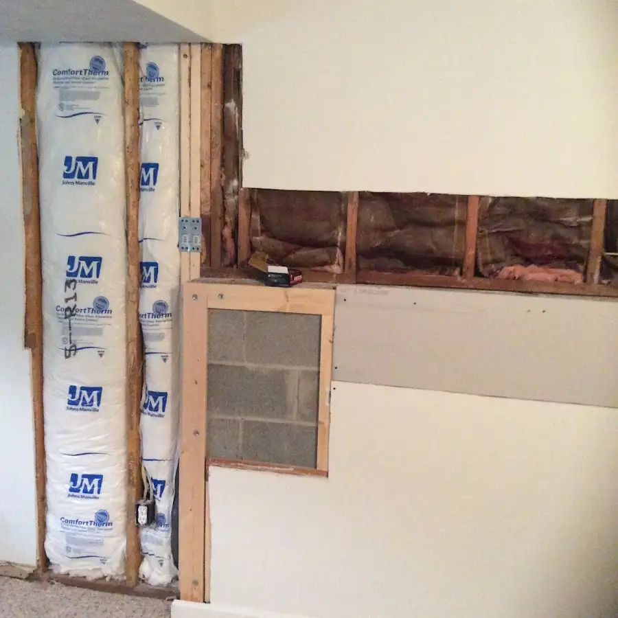 Wall insulation replacement during Odor Removal & Deodorization in Red Wing